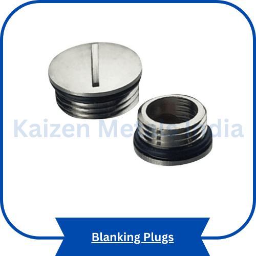 blanking plugs